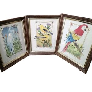 3 Thomas Sasser Bird Prints Georgia-Pacific Printing Vtg Framed 12 X 10 See Pics